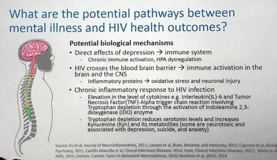 slide1.jpg